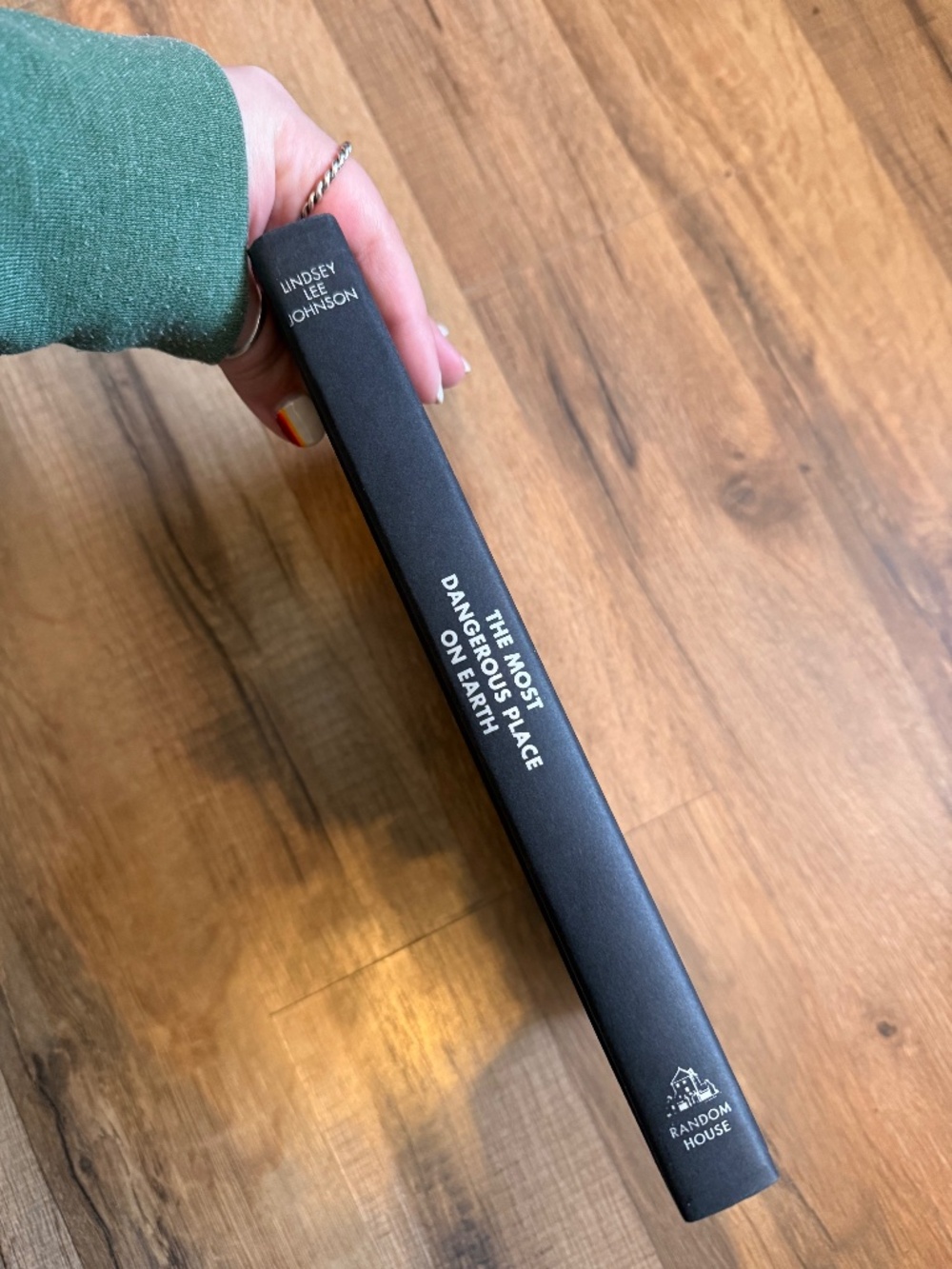 The Most Dangerous Place on Earth by Lindsey Lee Johnson